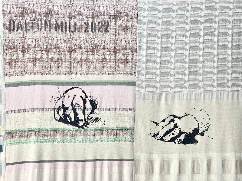 A Close up of A Cloth for the Lost Mills