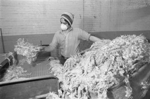 Black and white photograph of a man sorting raw wool. Photograph: Tim Smith